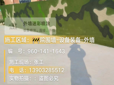 莆田 迷彩漆喷涂价格(按平方米计费)